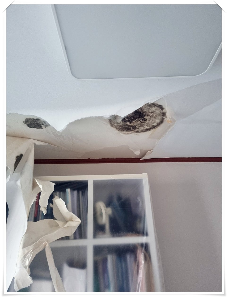 천장에 곰팡이가 발생한 모습
