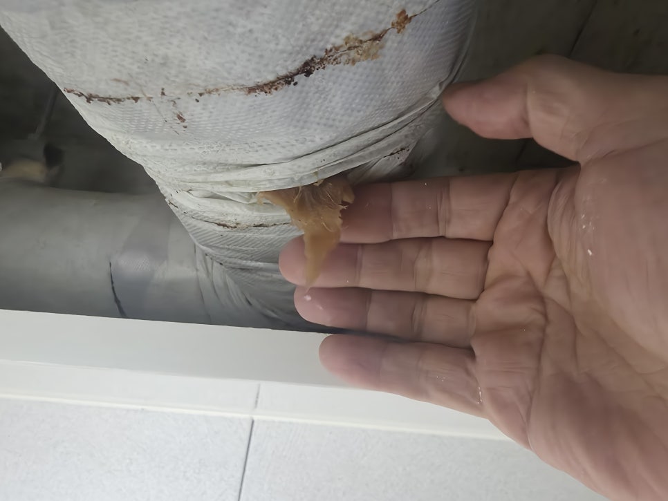 파이프 주변의 테이프 제거 작업