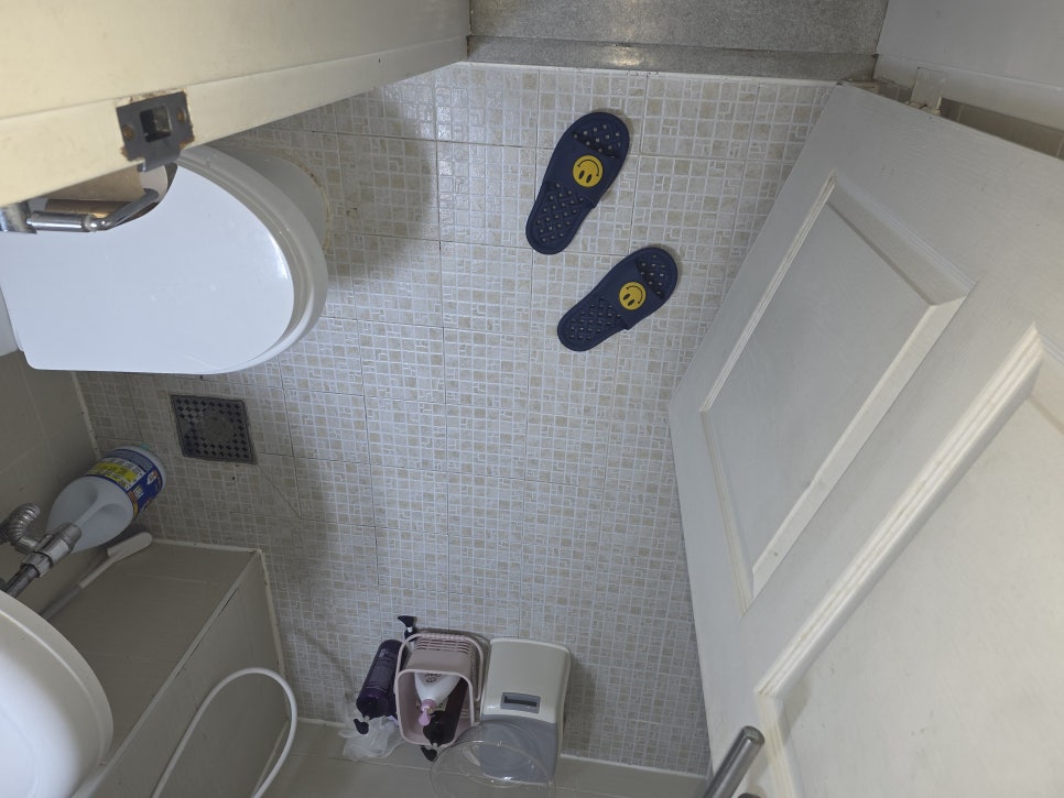 화장실 변기와 세면대 주변 현장