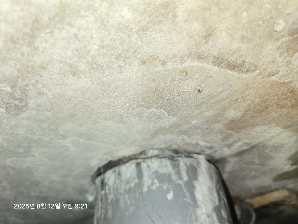 흰색 벽면과 파란색 배관이 보이는 현장