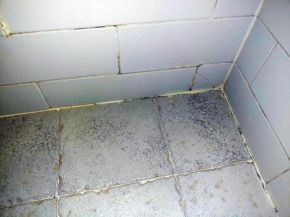 화장실 바닥 및 벽면 상태