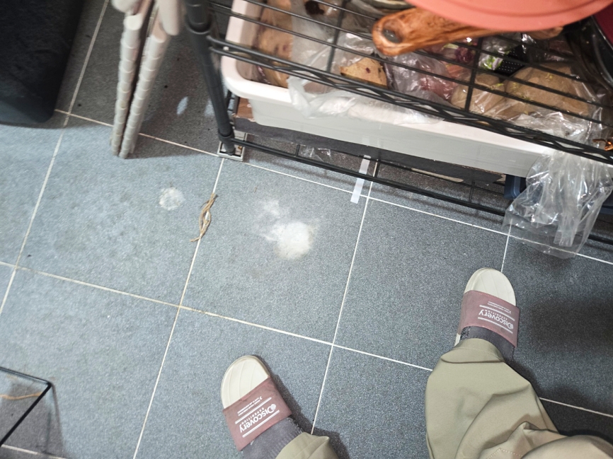 베란다 바닥 및 주변 환경