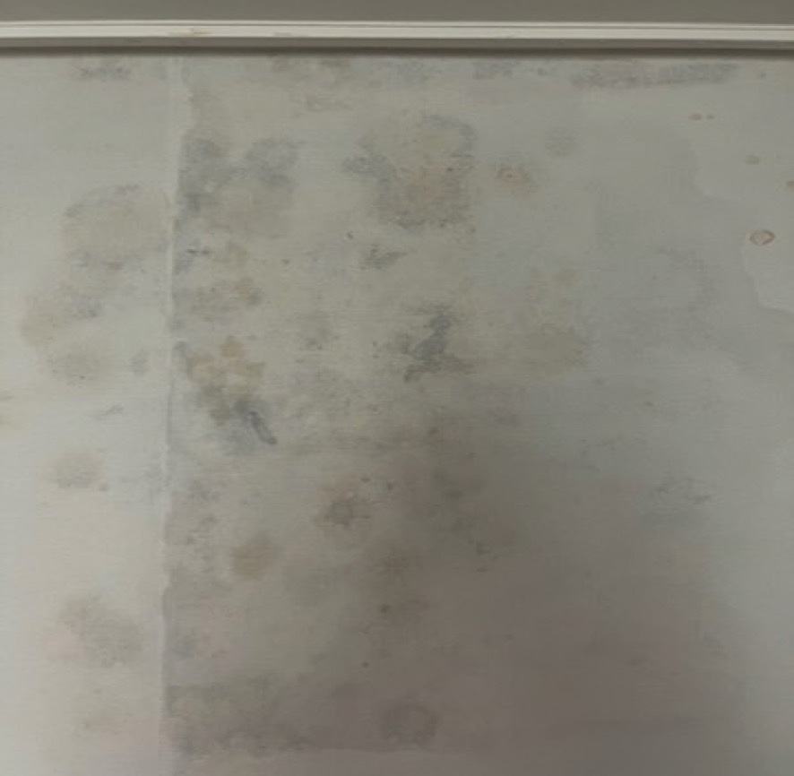 습기로 인한 벽면 변색