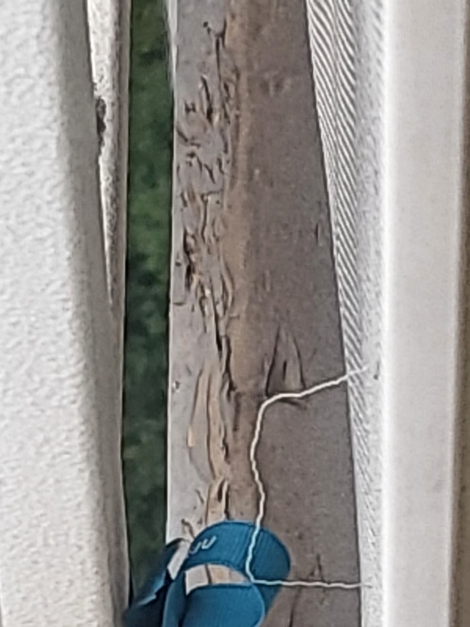 창문 및 창틀 주변 점검