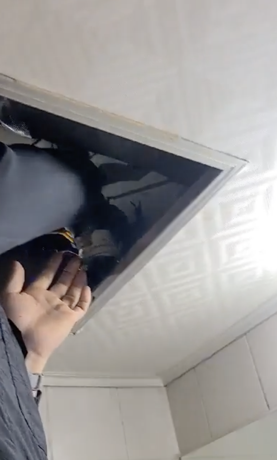 아래층 천장 점검구를 통한 누수 확인 과정