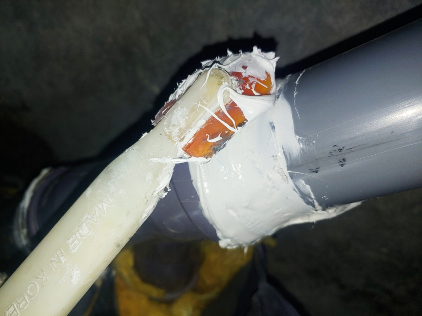본문 사진