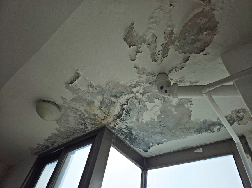 벽지가 벗겨지고 젖어 있는 아래층 천장 상태