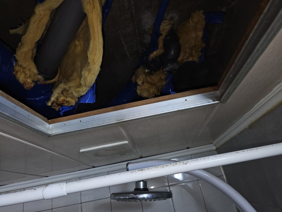 본문 사진