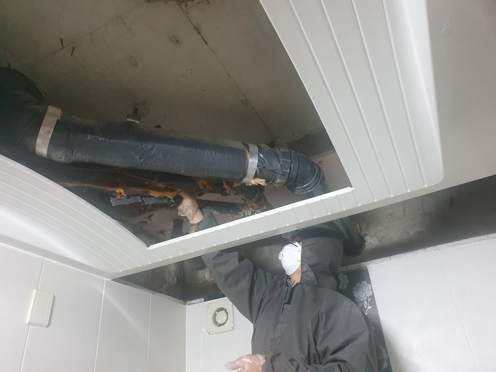 본문 사진