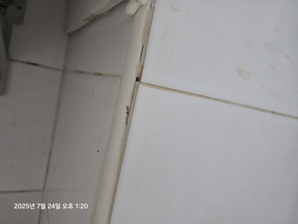 누수 점검 참고 사진