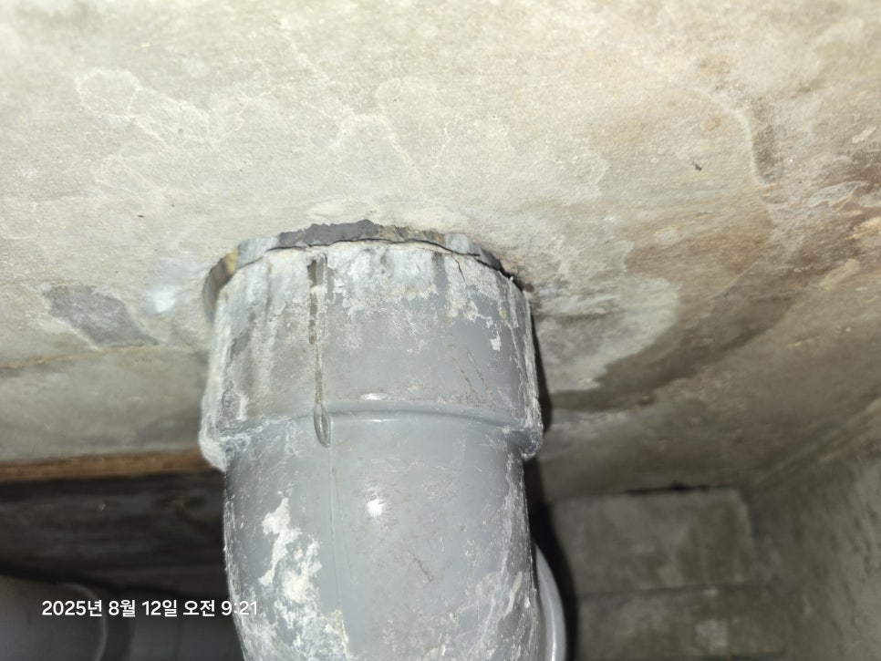 벽면 수분 침투 현상