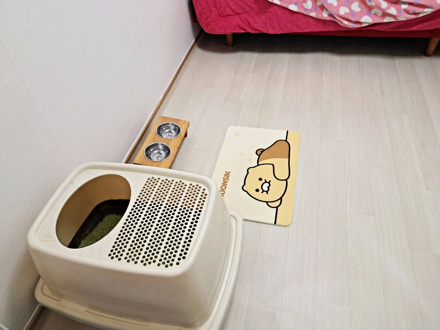 누수 점검 참고 사진