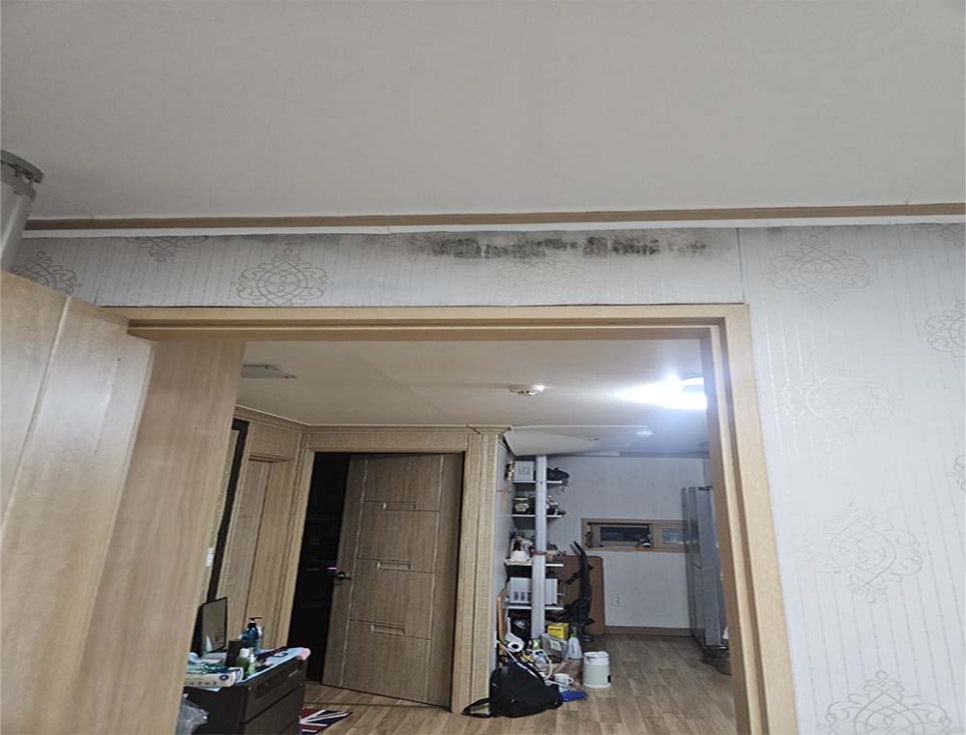 본문 사진