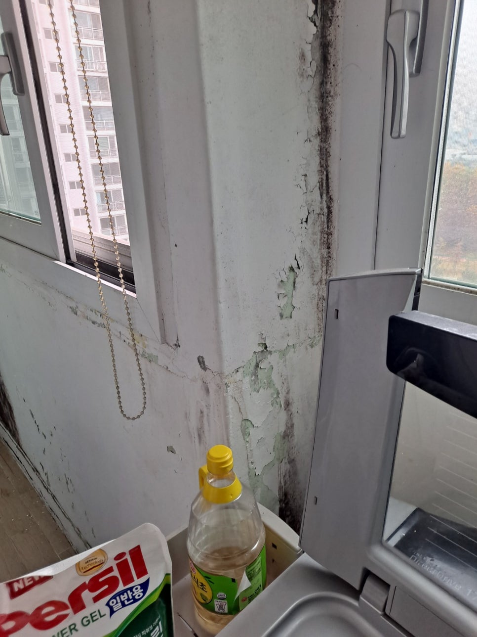 누수 점검 참고 사진