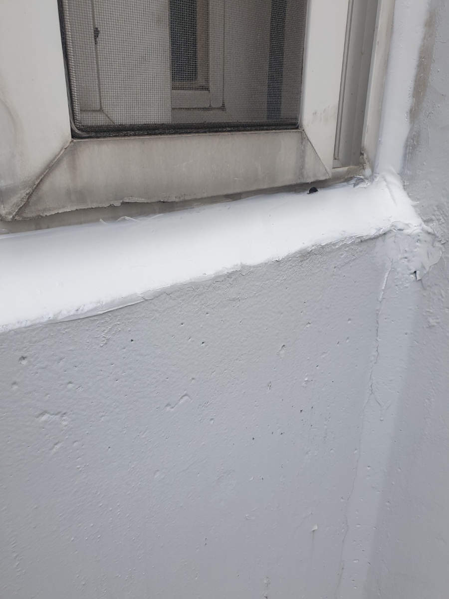 본문 사진