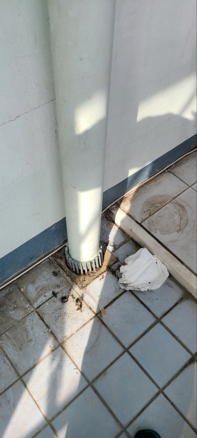 본문 사진