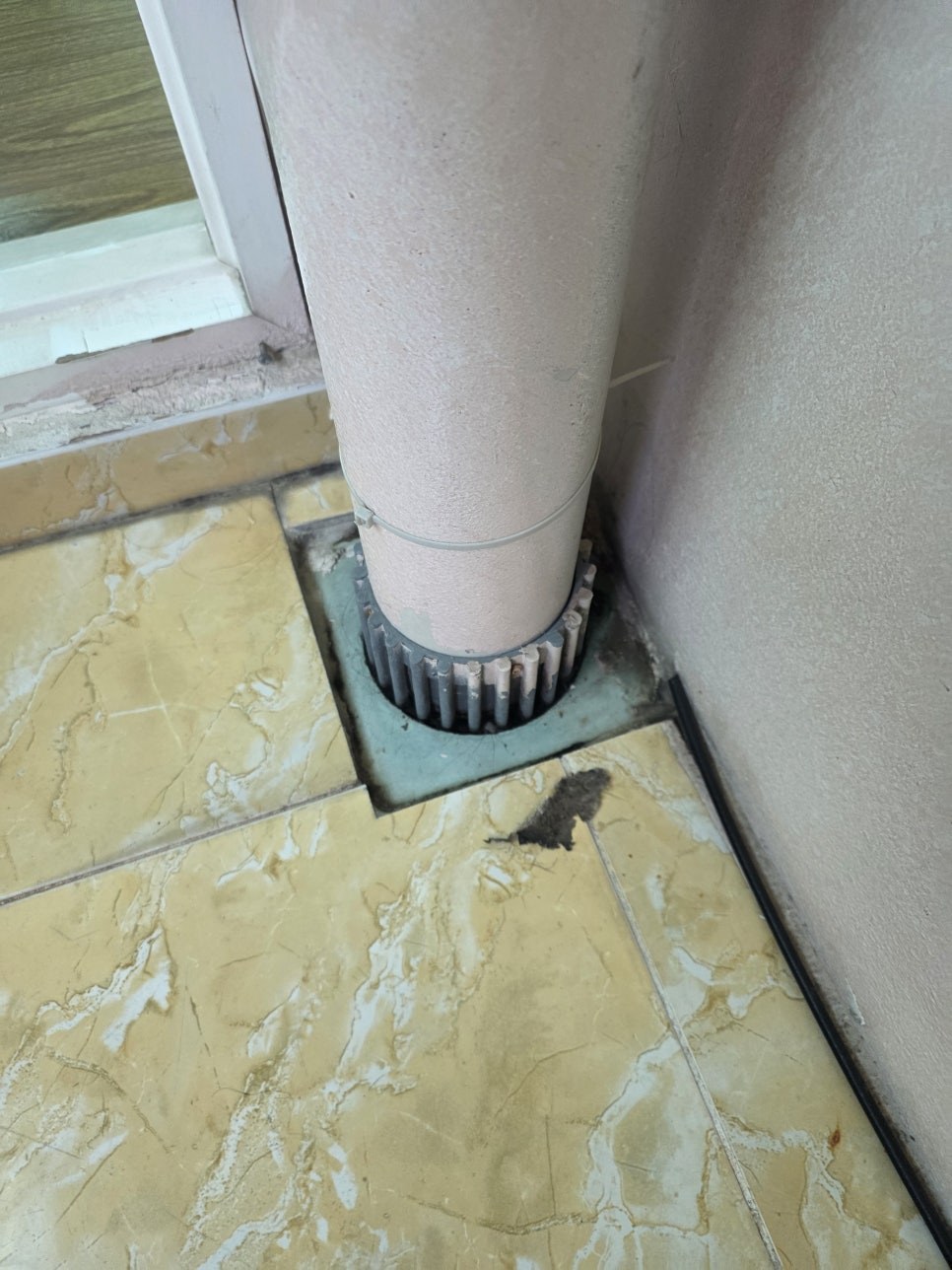 본문 사진