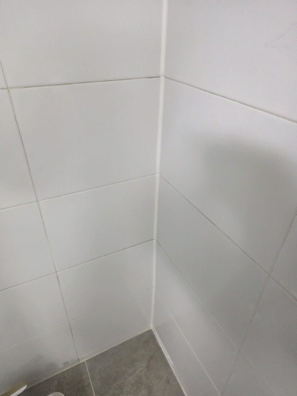 본문 사진