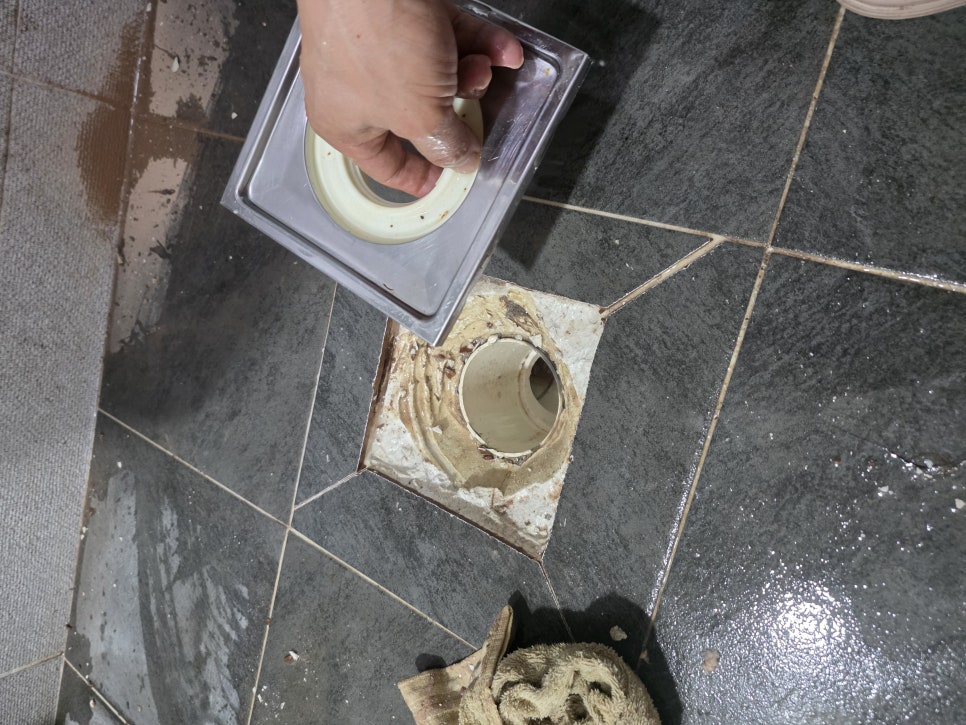 본문 사진
