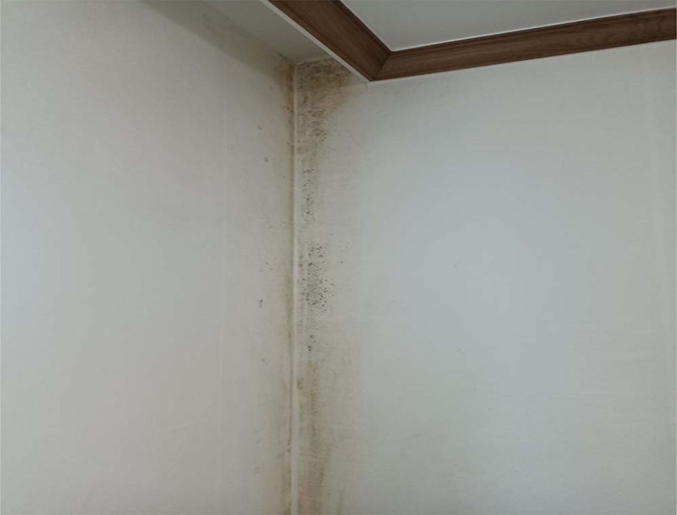 본문 사진