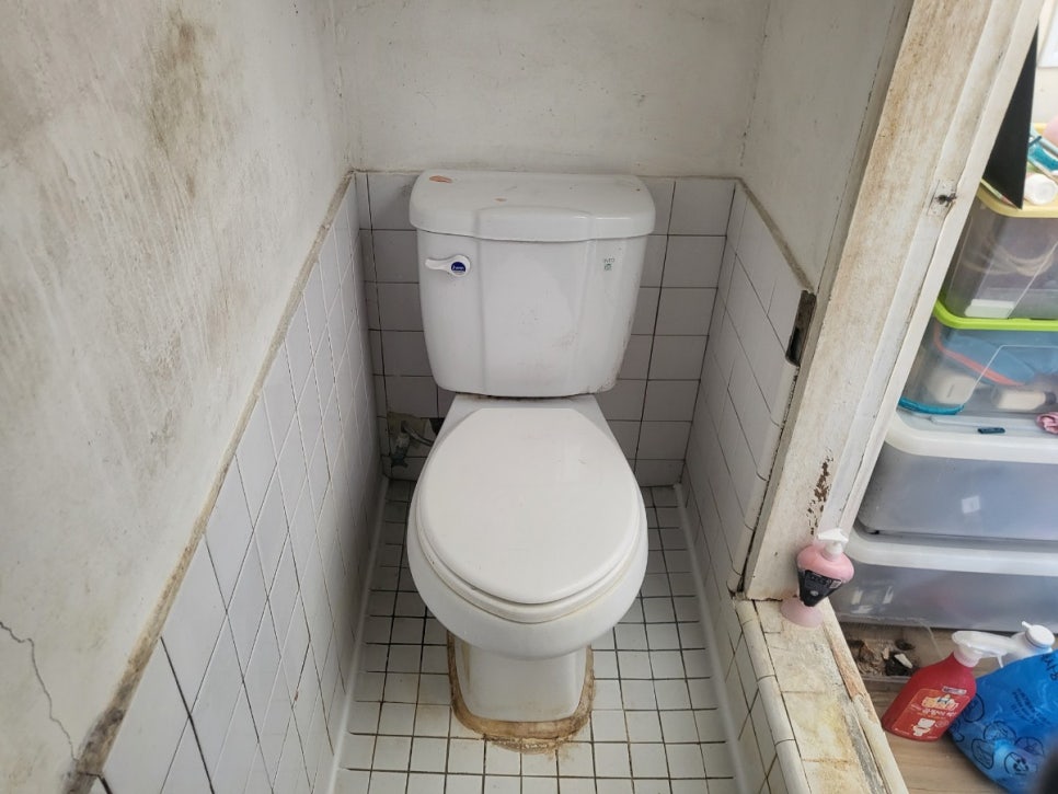 욕실 바닥과 벽면 참고 사진
