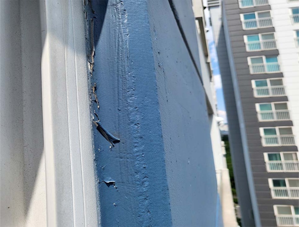 본문 사진