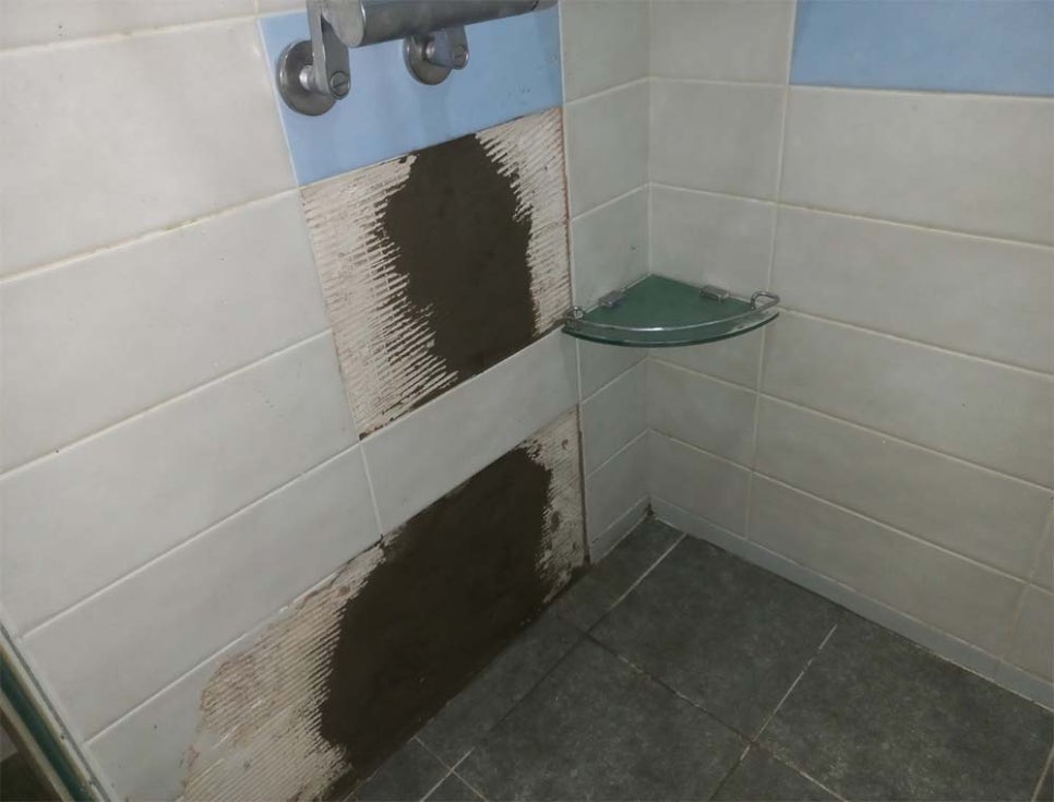 본문 사진
