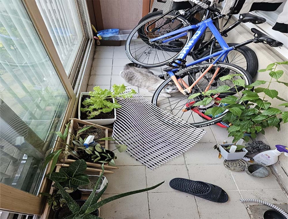 본문 사진