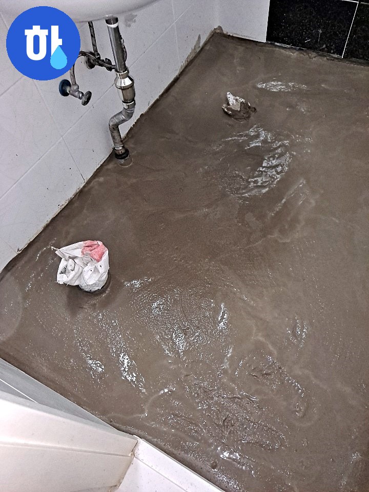 본문 사진
