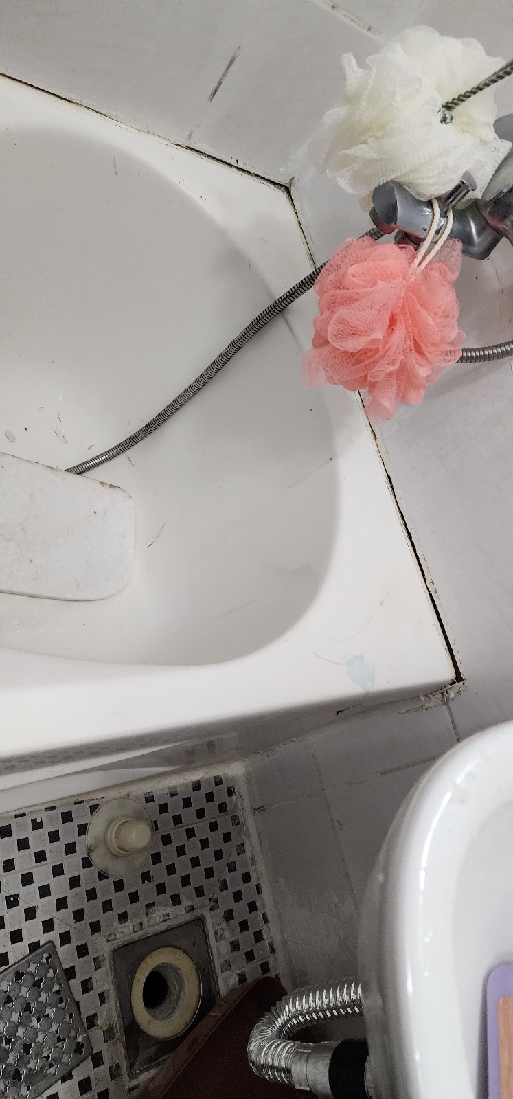 본문 사진