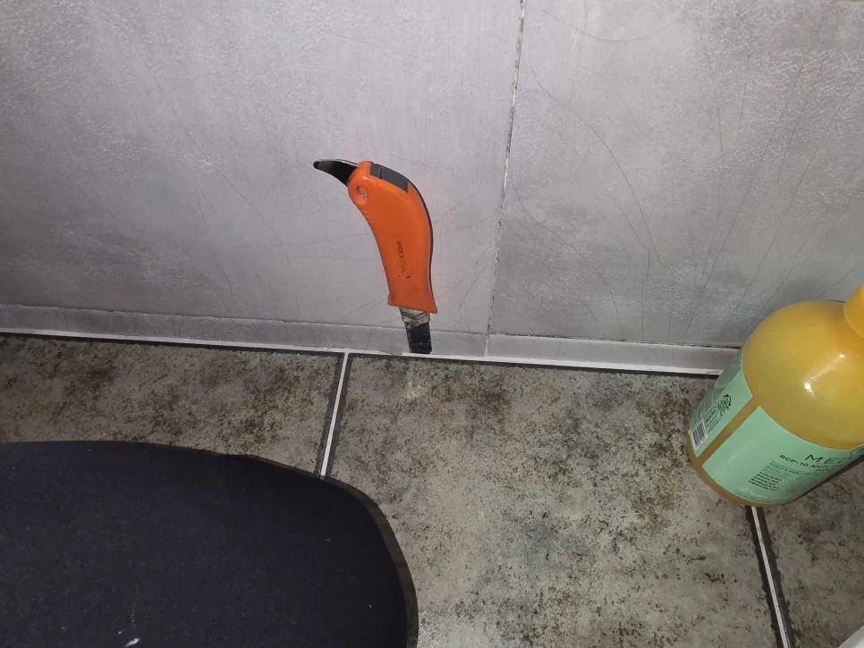 본문 사진
