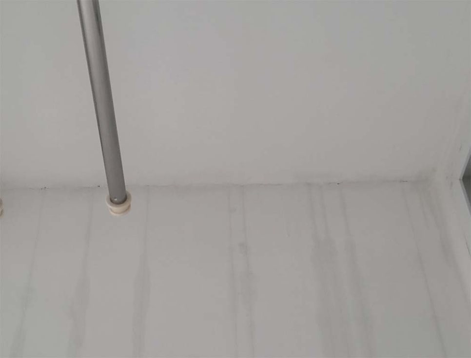 본문 사진