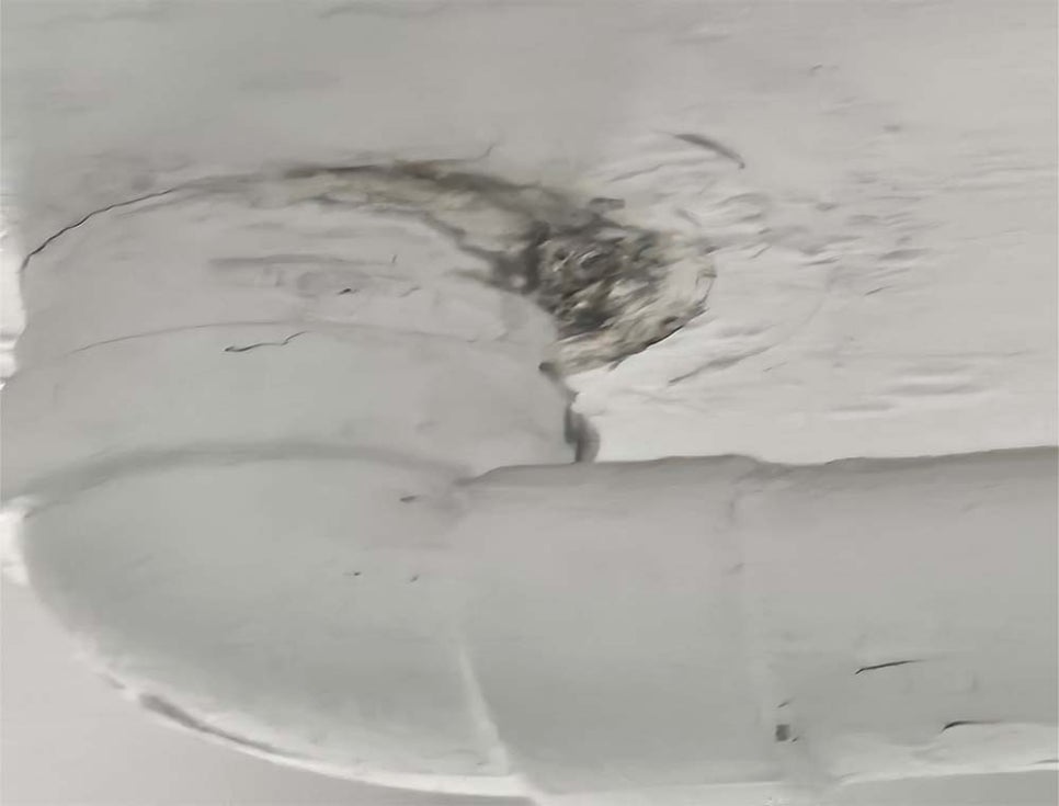 본문 사진