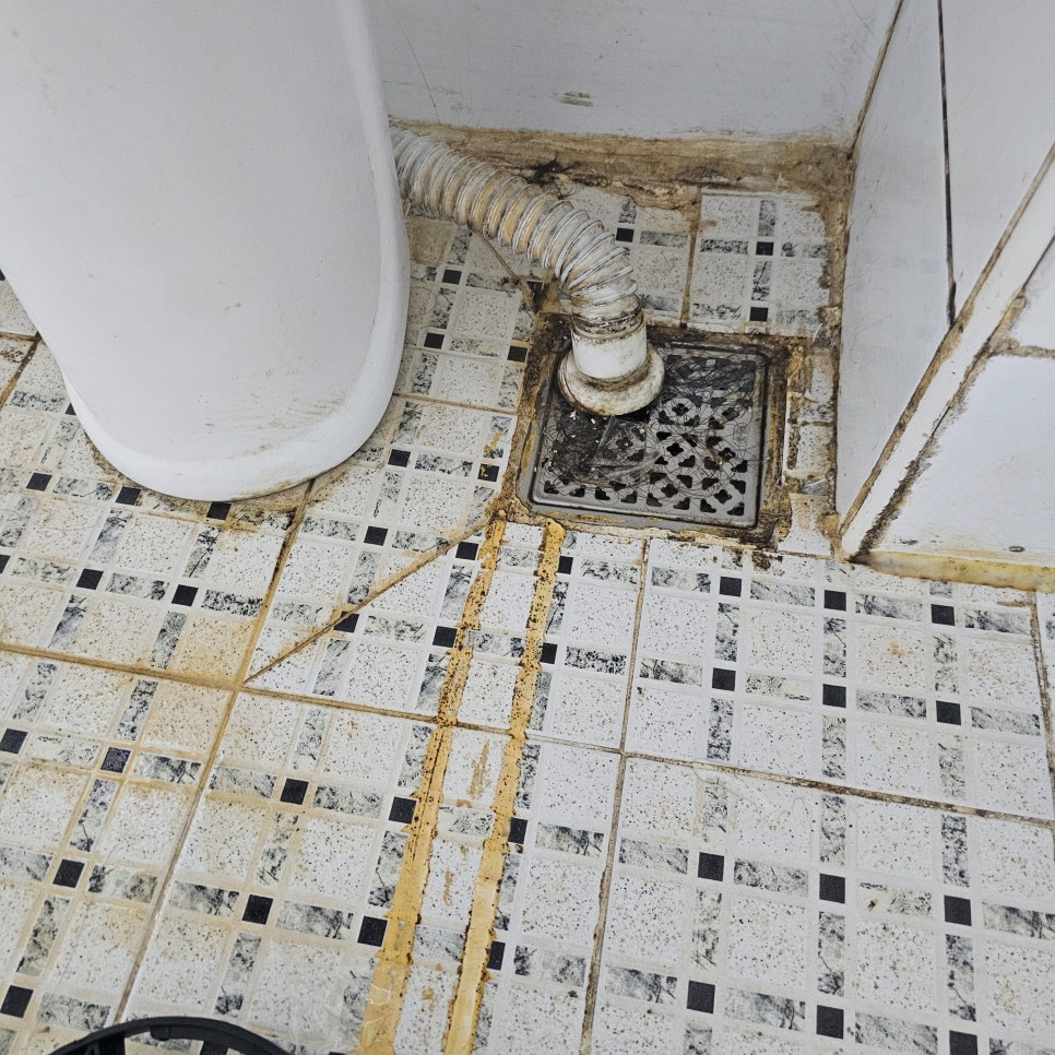 본문 사진