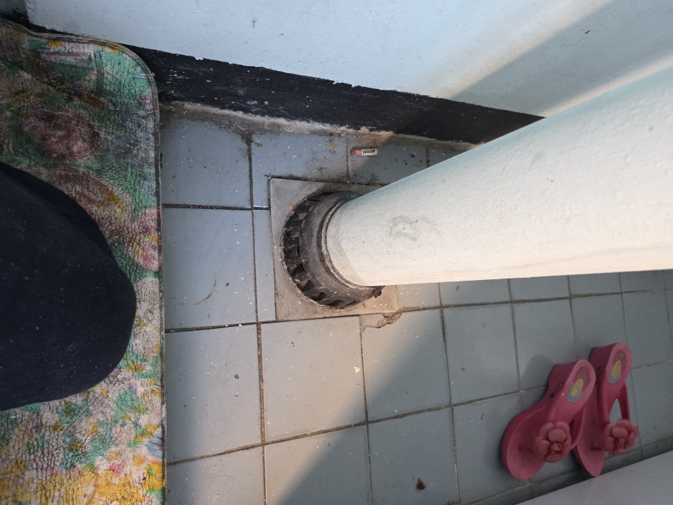배수구 주변 점검 현장