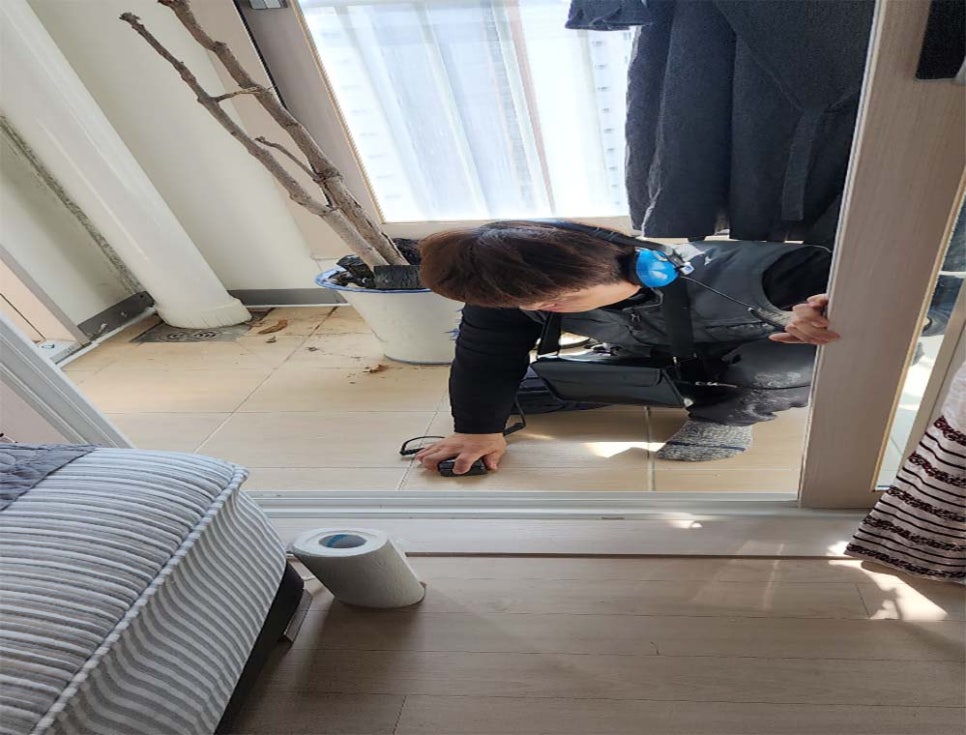 본문 사진