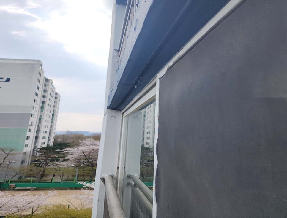 본문 사진