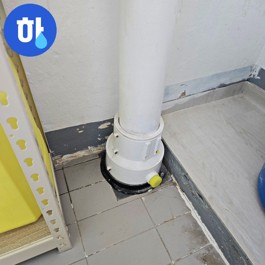 본문 사진