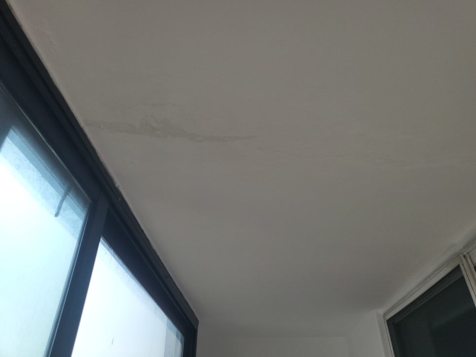본문 사진