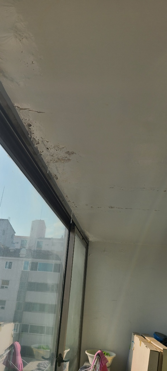 본문 사진