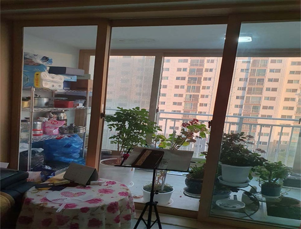 본문 사진