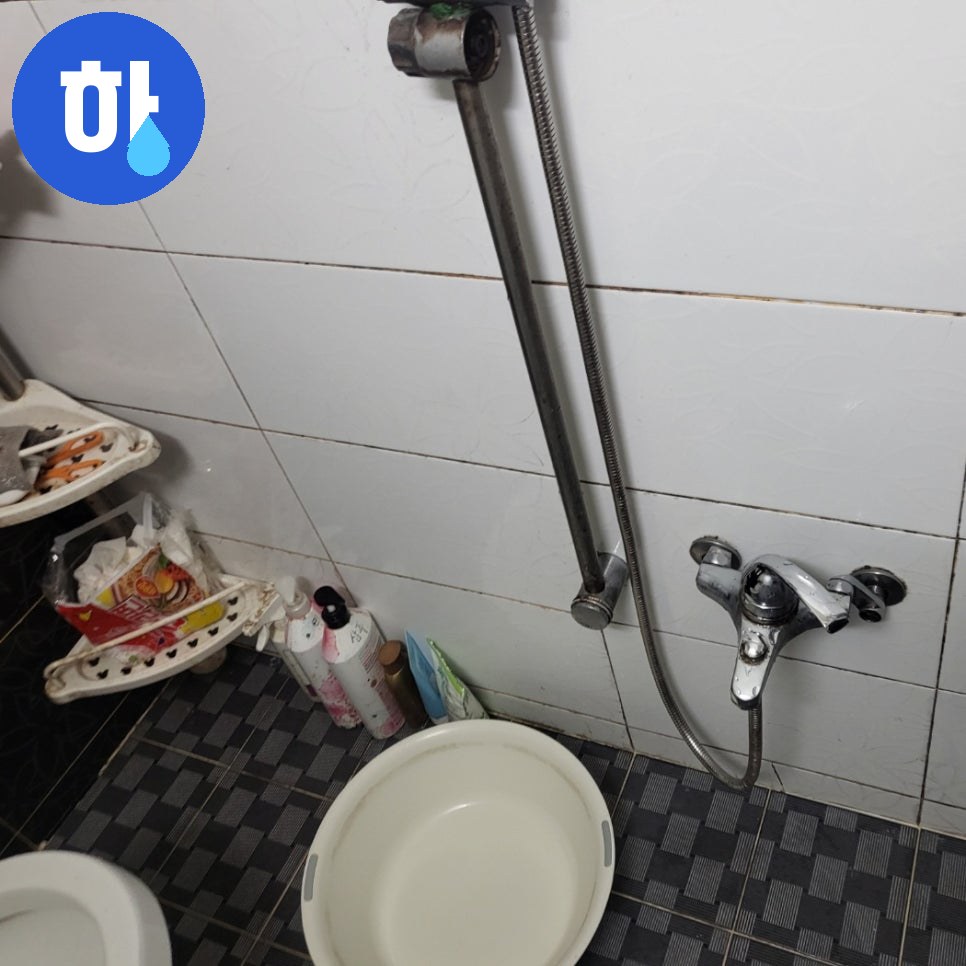 본문 사진
