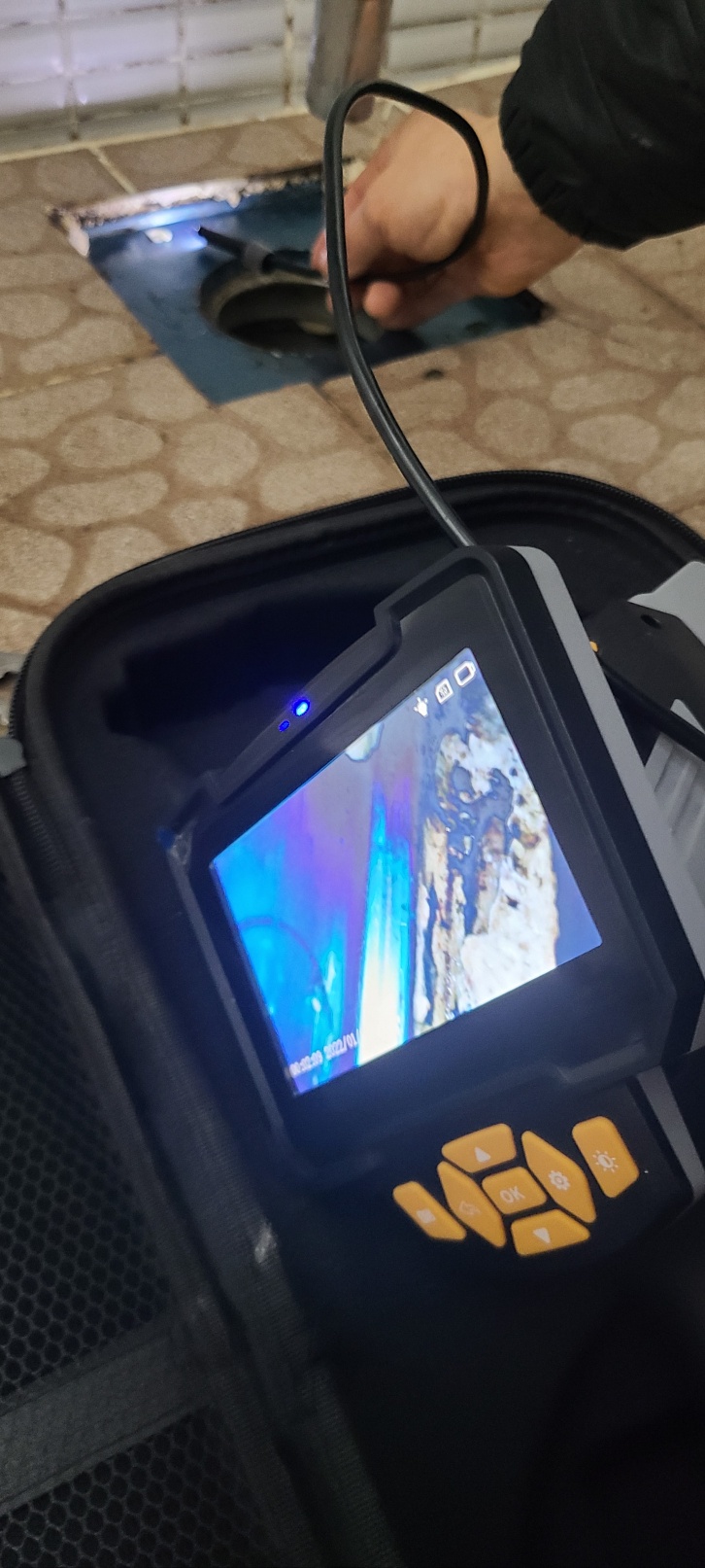 본문 사진