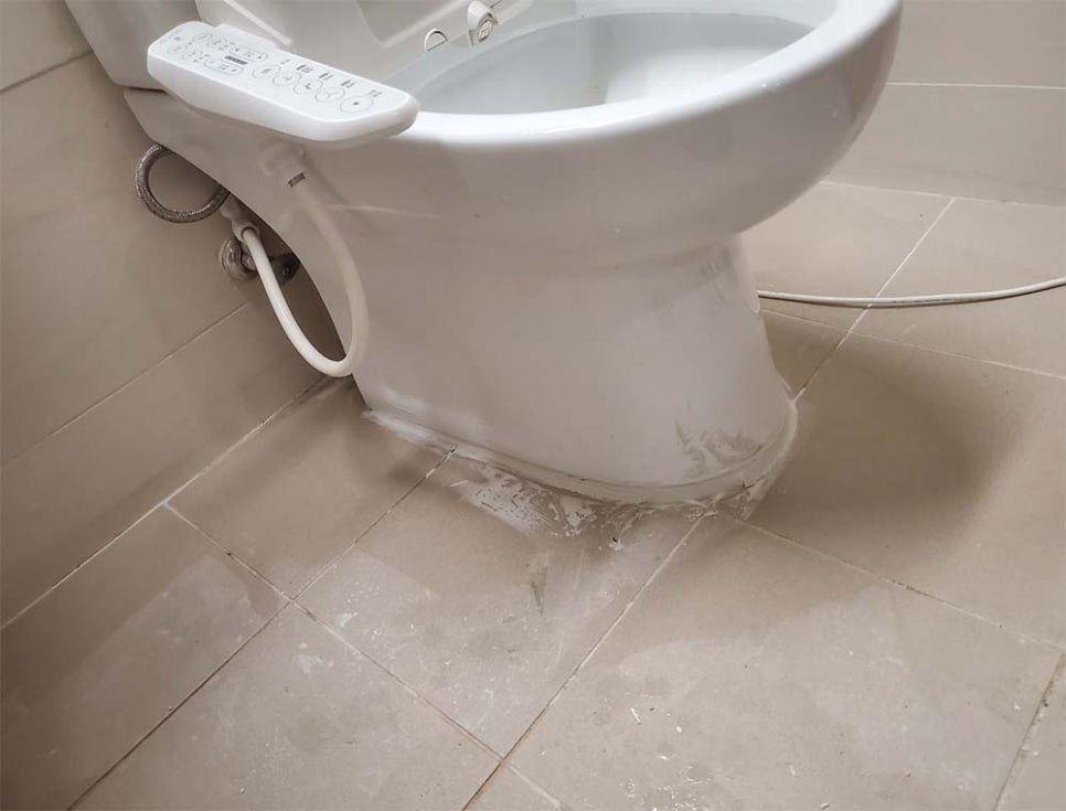 본문 사진