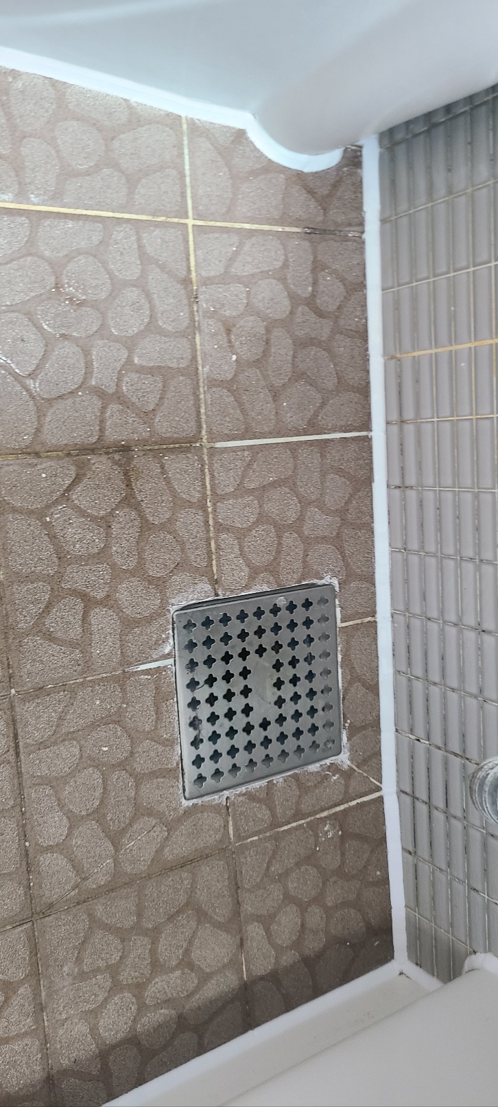 본문 사진