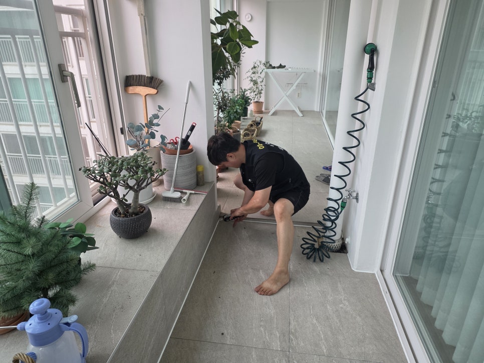 본문 사진