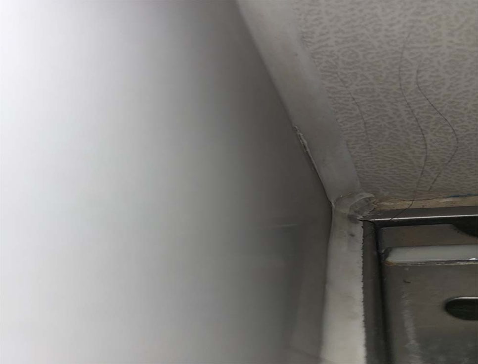 본문 사진