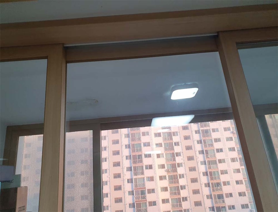 본문 사진
