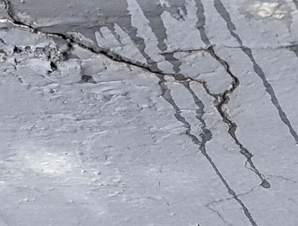 본문 사진
