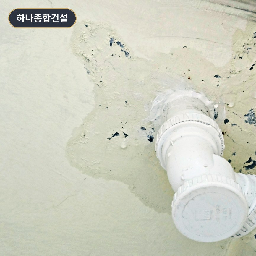 본문 사진